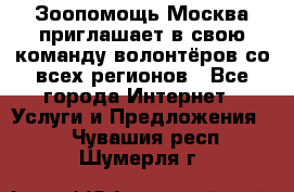 Зоопомощь.Москва приглашает в свою команду волонтёров со всех регионов - Все города Интернет » Услуги и Предложения   . Чувашия респ.,Шумерля г.